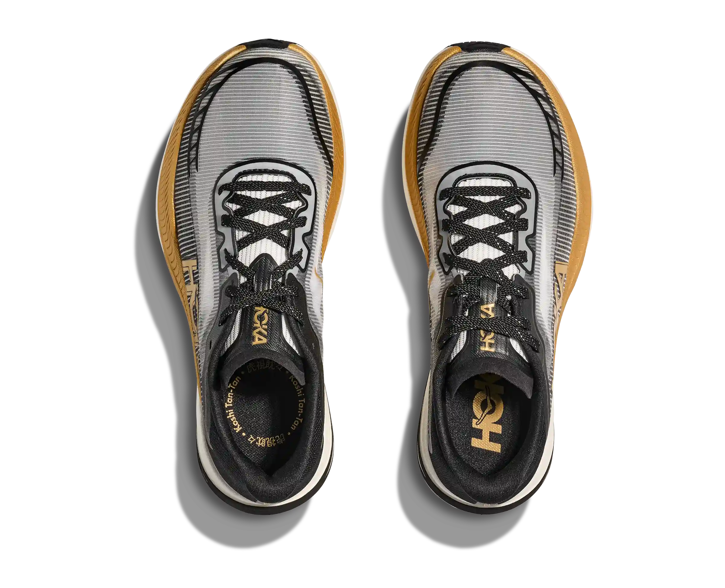 CIELO X1 2.0 KOSHI TAN TAN