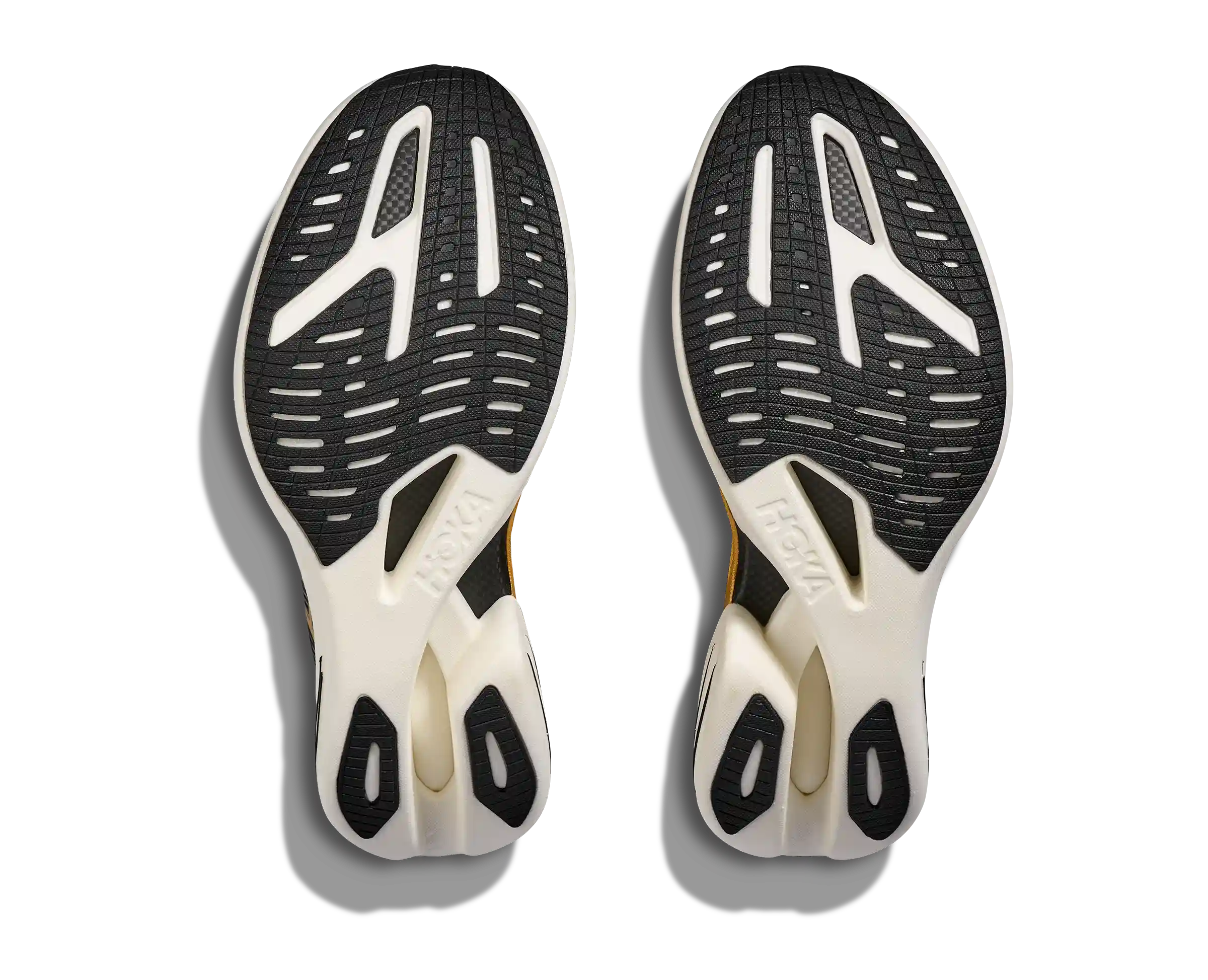 CIELO X1 2.0 KOSHI TAN TAN