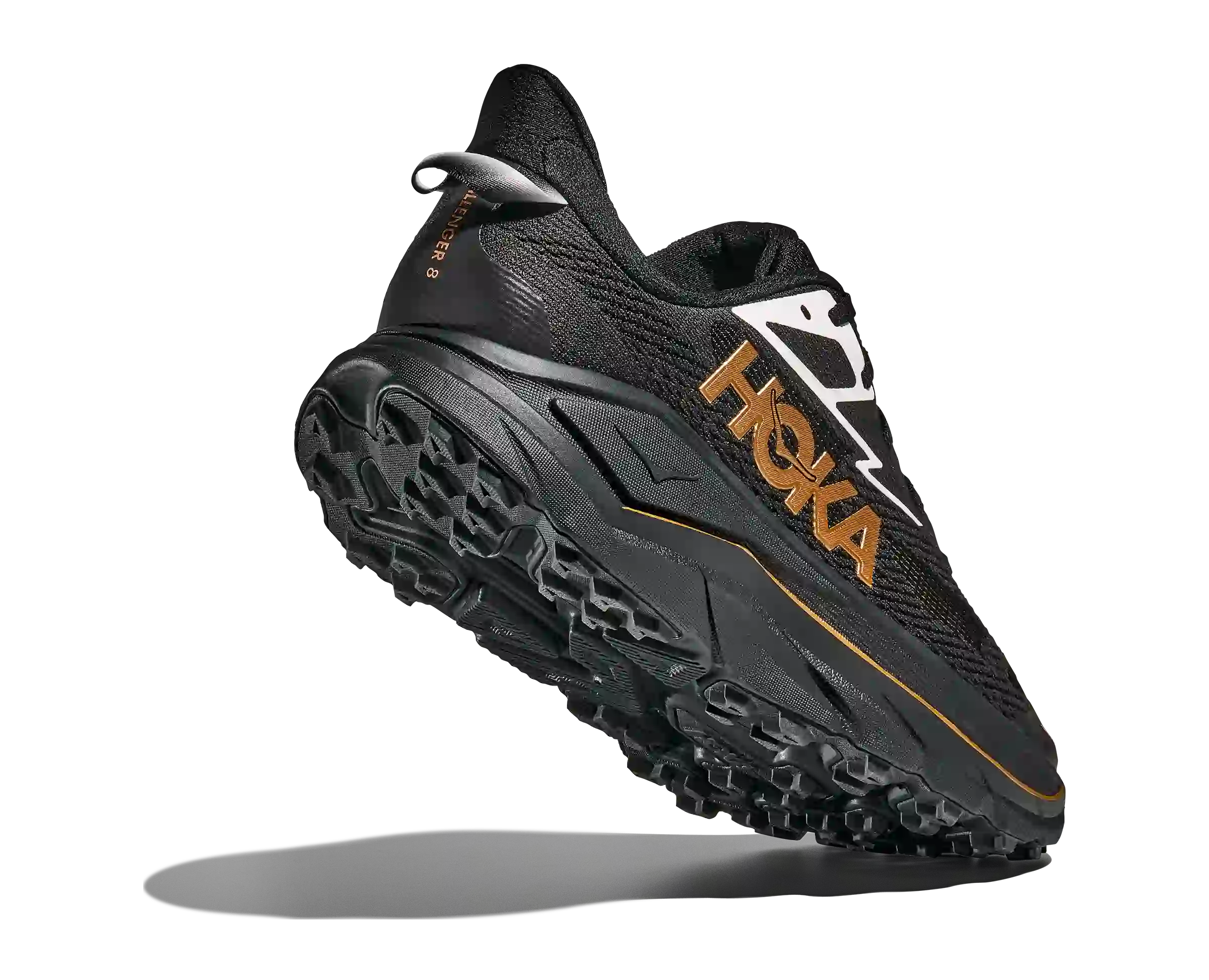 Challenger 8 KOSHI TAN TAN