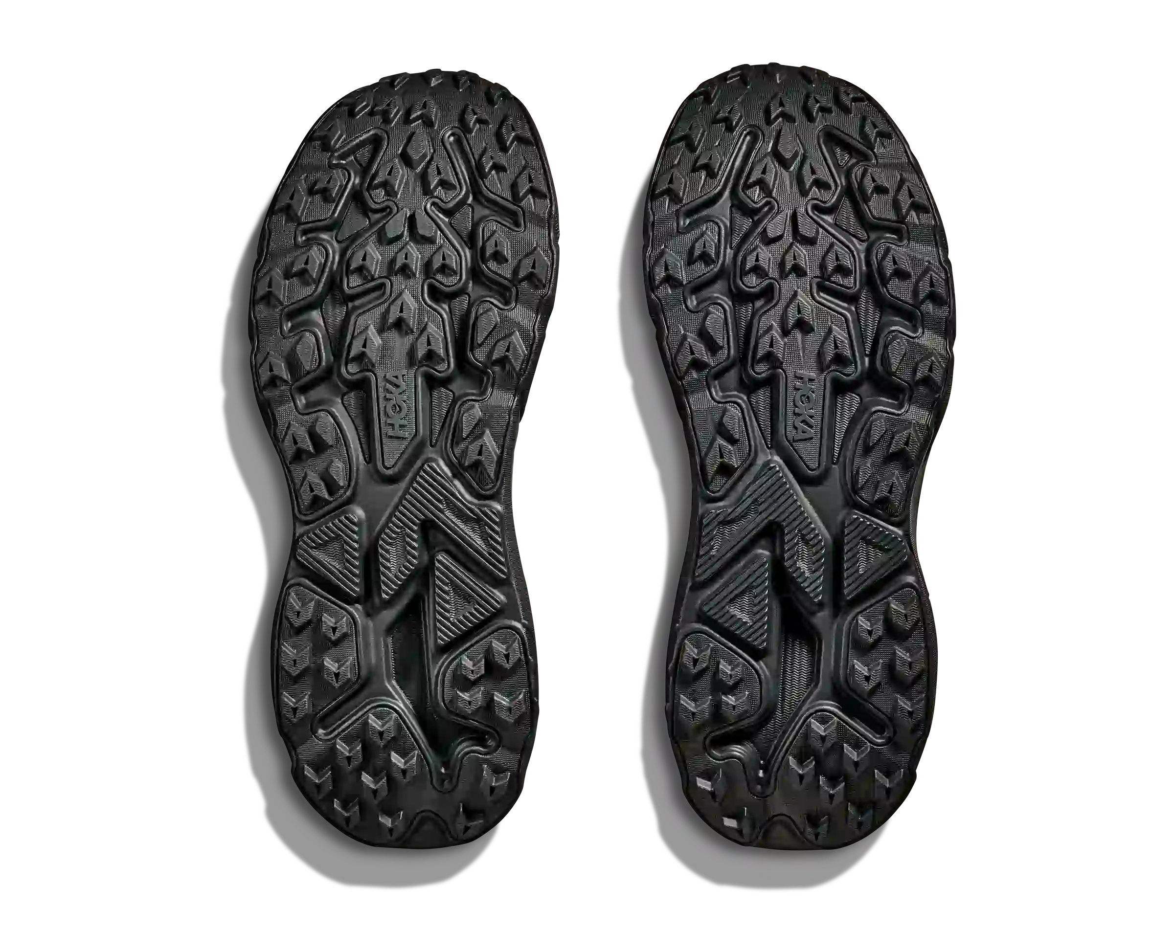 Challenger 8 KOSHI TAN TAN