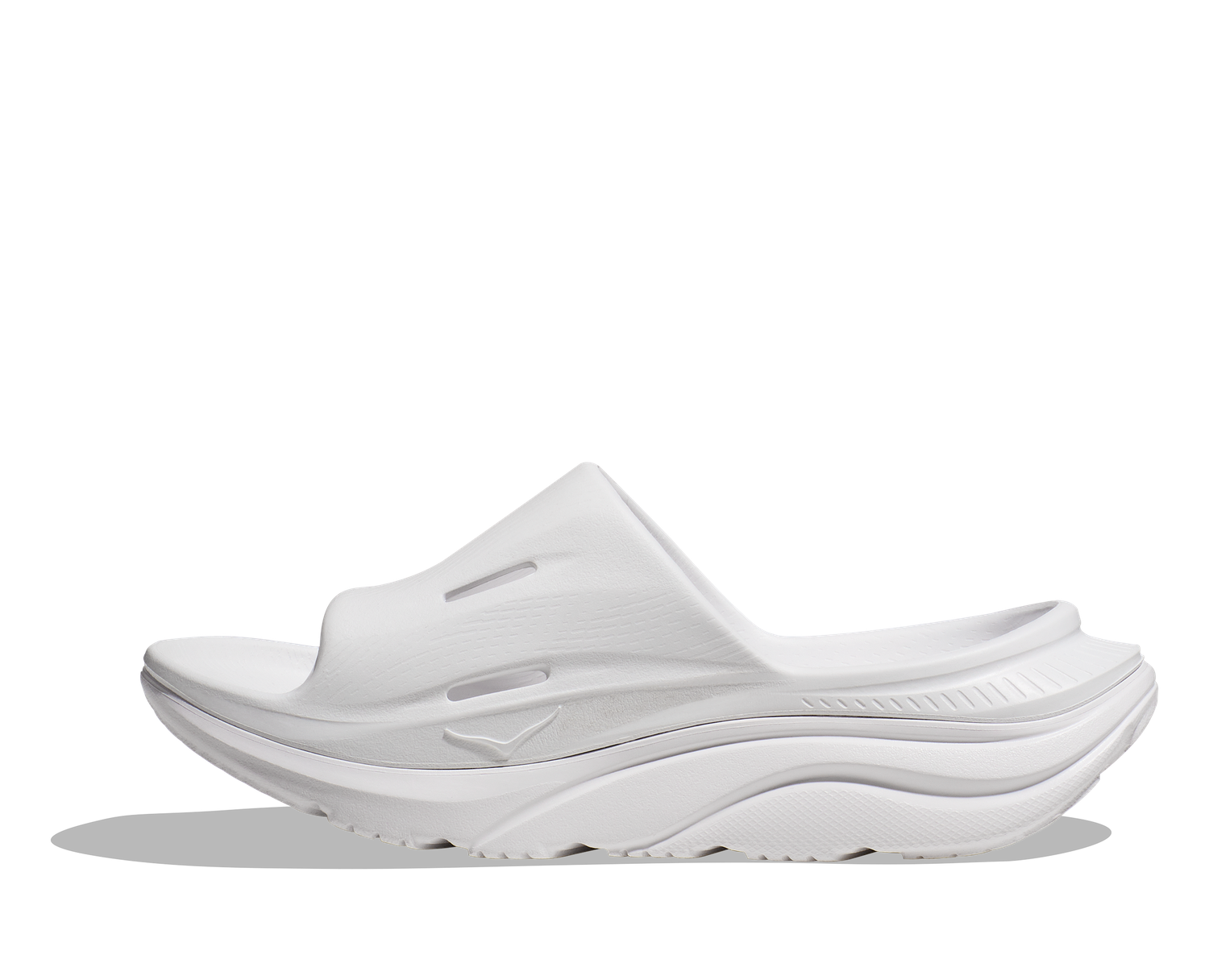 png_1500x1500_69063246